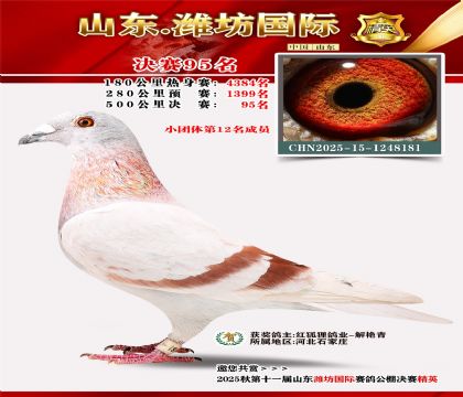 Ϋ�����ʾ���95��