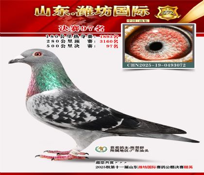 Ϋ�����ʾ���97��