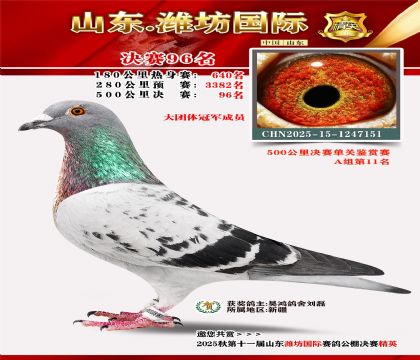 Ϋ�����ʾ���96��