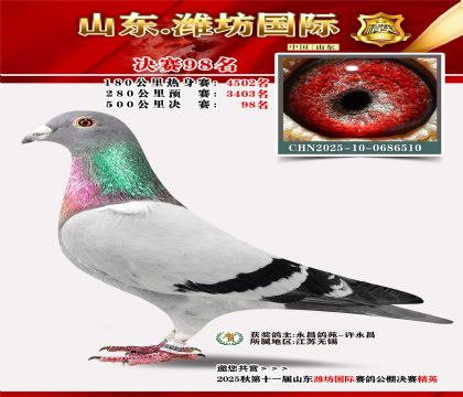 Ϋ�����ʾ���98��