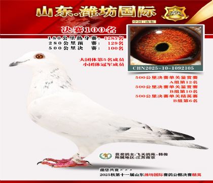 Ϋ�����ʾ���100��