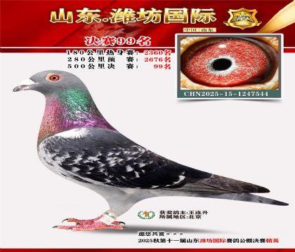 Ϋ�����ʾ���99��