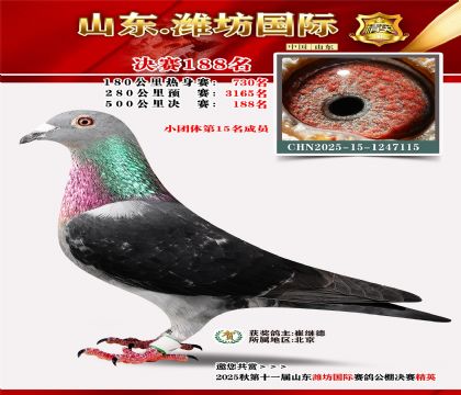 Ϋ�����ʾ���188��