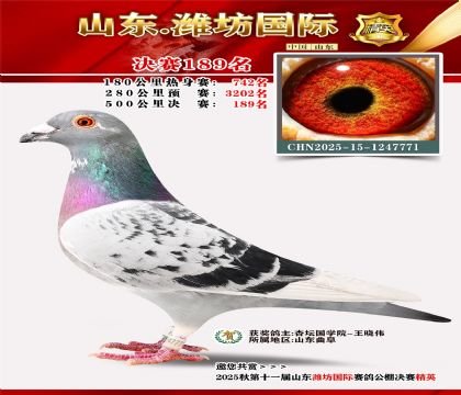 Ϋ�����ʾ���189��