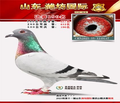 Ϋ�����ʾ���190��