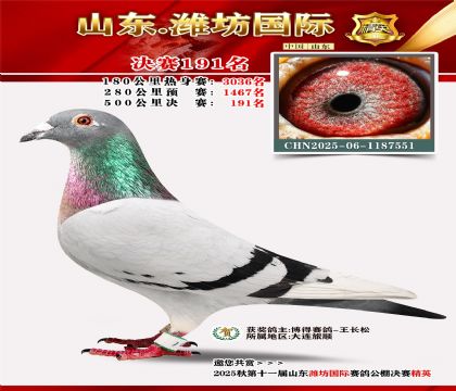 Ϋ�����ʾ���191��