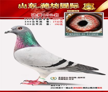 Ϋ�����ʾ���192��