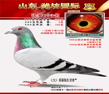 Ϋ�����ʾ���193�������ظ���10����