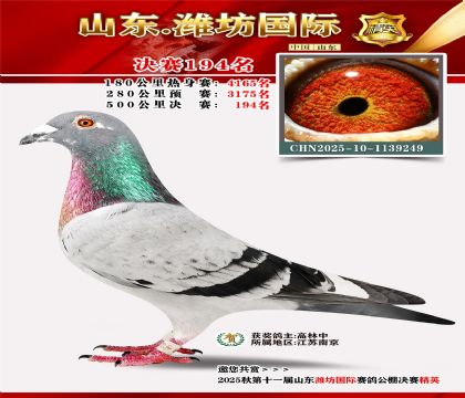 Ϋ�����ʾ���194��