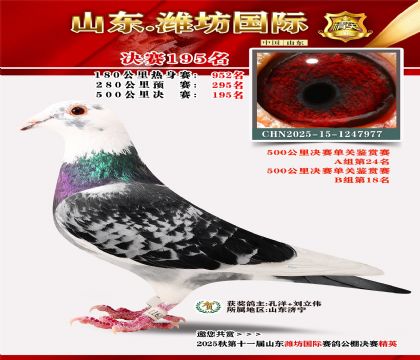 Ϋ�����ʾ���195��