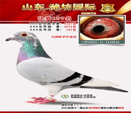 Ϋ�����ʾ���197��