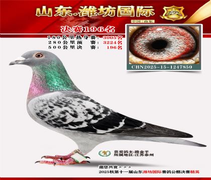 Ϋ�����ʾ���196��