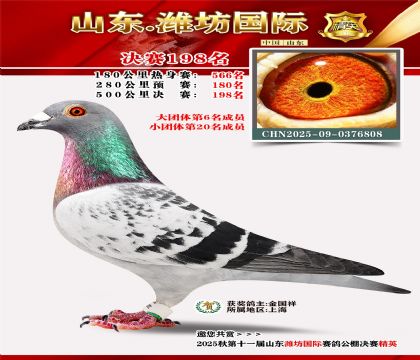 Ϋ�����ʾ���198��