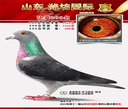 Ϋ�����ʾ���200��