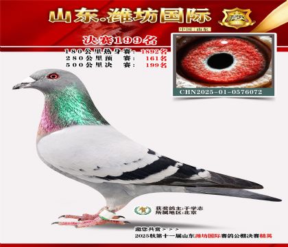 Ϋ�����ʾ���199��