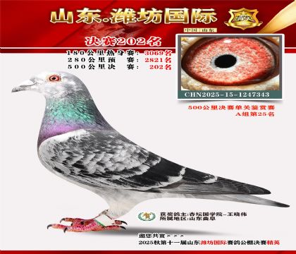 Ϋ�����ʾ���202��