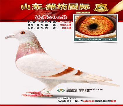 Ϋ�����ʾ���204��