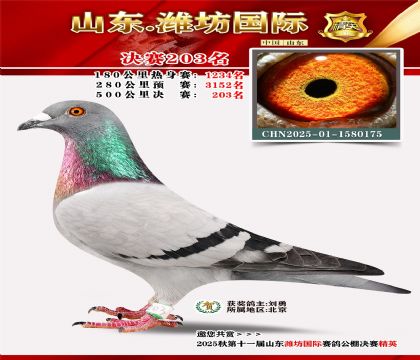 Ϋ�����ʾ���203��