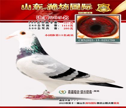 Ϋ�����ʾ���205��