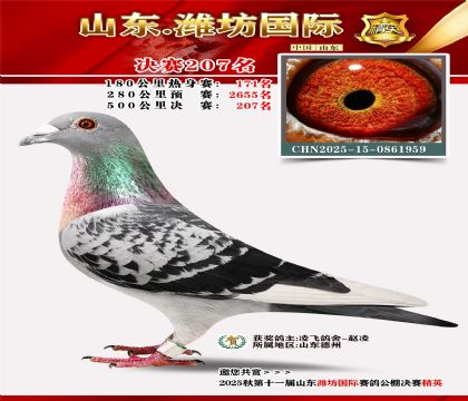 Ϋ�����ʾ���207��