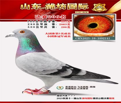 Ϋ�����ʾ���206��