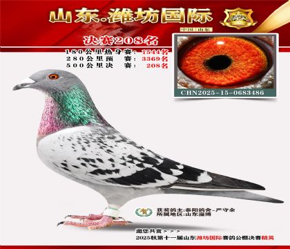 Ϋ�����ʾ���208��