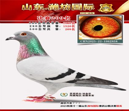 Ϋ�����ʾ���209��