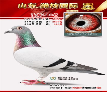 Ϋ�����ʾ���210��