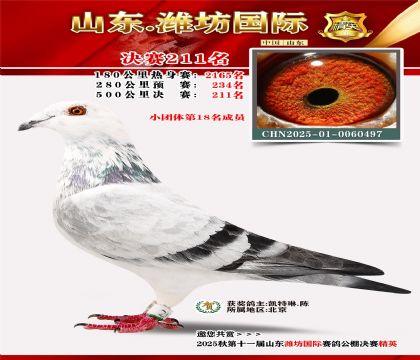 Ϋ�����ʾ���211��