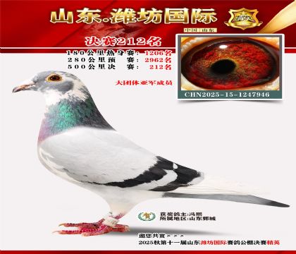 Ϋ�����ʾ���212��