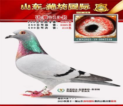 Ϋ�����ʾ���213��