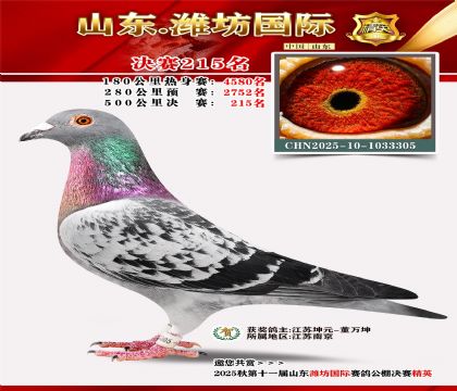 Ϋ�����ʾ���215��