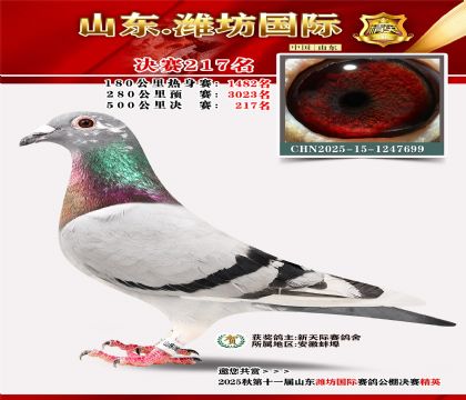 Ϋ�����ʾ���217��