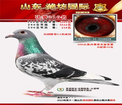 Ϋ�����ʾ���216��