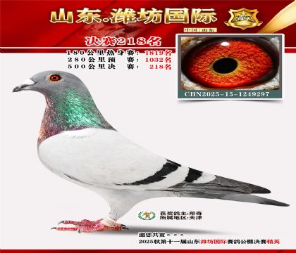 Ϋ�����ʾ���218��