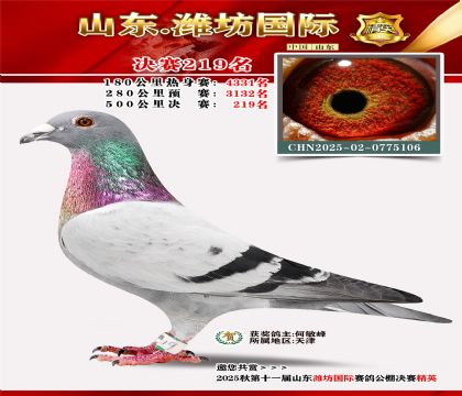 Ϋ�����ʾ���219��