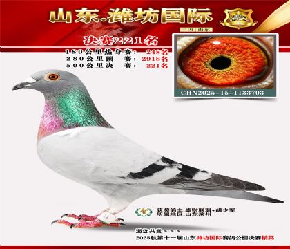 Ϋ�����ʾ���221��