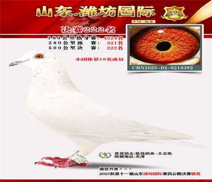 Ϋ�����ʾ���222��