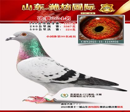 Ϋ�����ʾ���224��