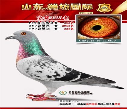 Ϋ�����ʾ���223��