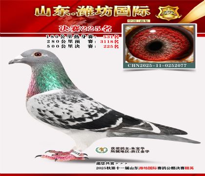 Ϋ�����ʾ���225��