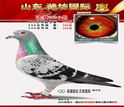 Ϋ�����ʾ���226��