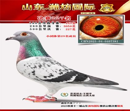 Ϋ�����ʾ���227��