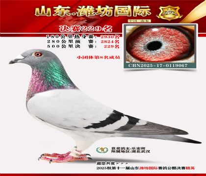 Ϋ�����ʾ���229��