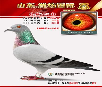 Ϋ�����ʾ���228��