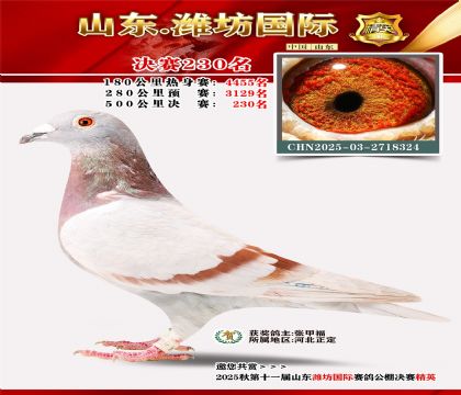 Ϋ�����ʾ���230��