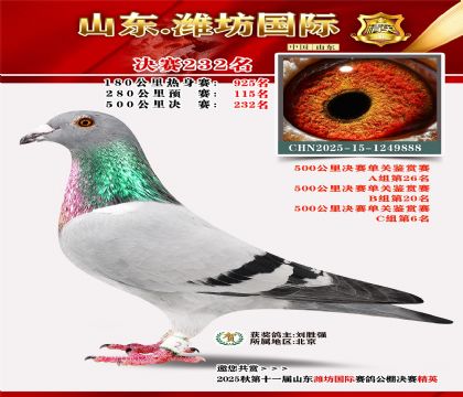 Ϋ�����ʾ���232��