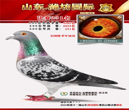 Ϋ�����ʾ���231��