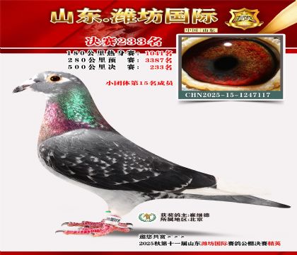 Ϋ�����ʾ���233��