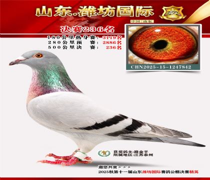 Ϋ�����ʾ���236��